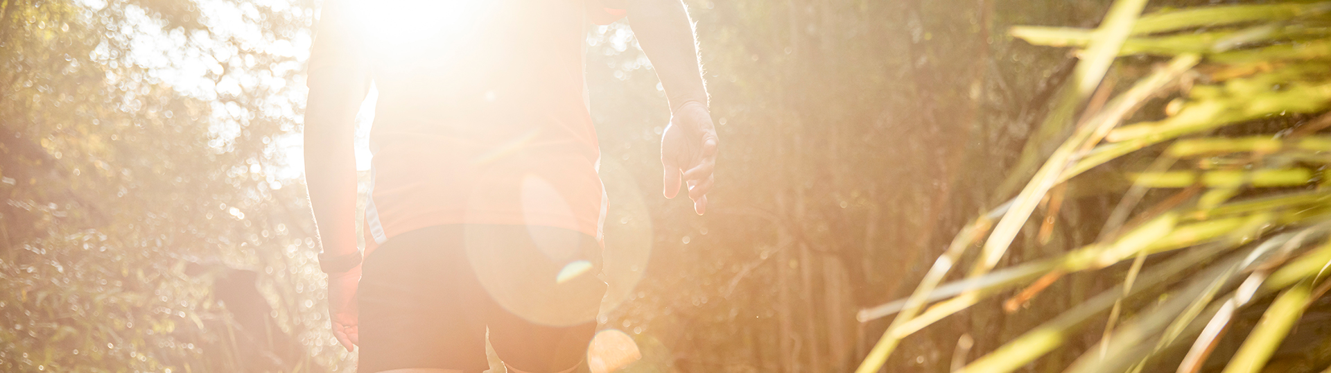 Person walking toward the sun on a bush track.